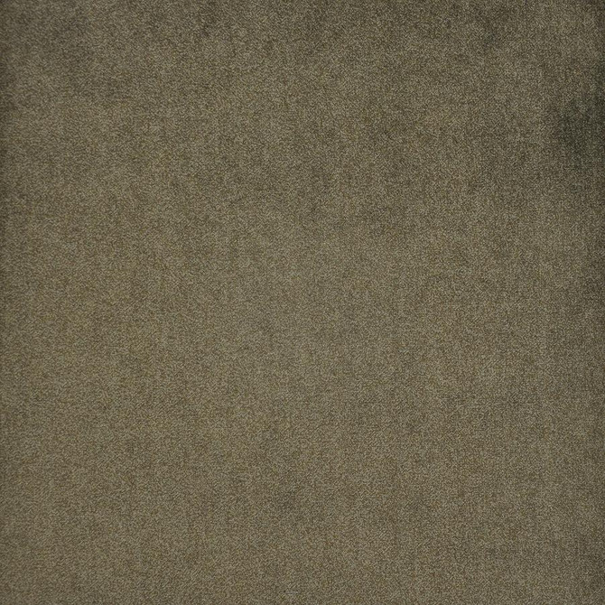 Mata Hari # 703 Bear Cub by Maxwell Designer Fabric Velvet Room 100% POLYESTER TURKEY 54" - Swanky Fabrics -