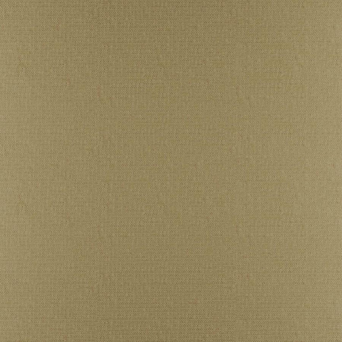Phobos # 315 Cane by Maxwell Designer Fabric Performance Textures 100% POLYESTER CHINA 55" - Swanky Fabrics -
