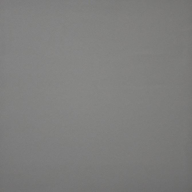 Pinto # 703 Pebble by Maxwell Designer Fabric EASY RIDER IV 100% PVC CHINA 54" - Swanky Fabrics -