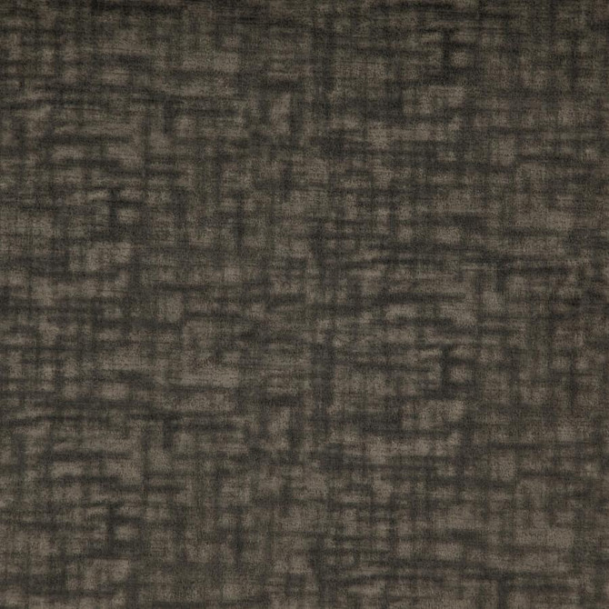 Prometheus # 11 Slate by Maxwell Designer Fabric CURLED UP VI 100% POLYESTER CHINA 54" - Swanky Fabrics -
