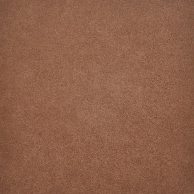 Taro # 206 Spice by Maxwell Designer Fabric EASY RIDER VI 100% PVC TAIWAN 54" - Swanky Fabrics -