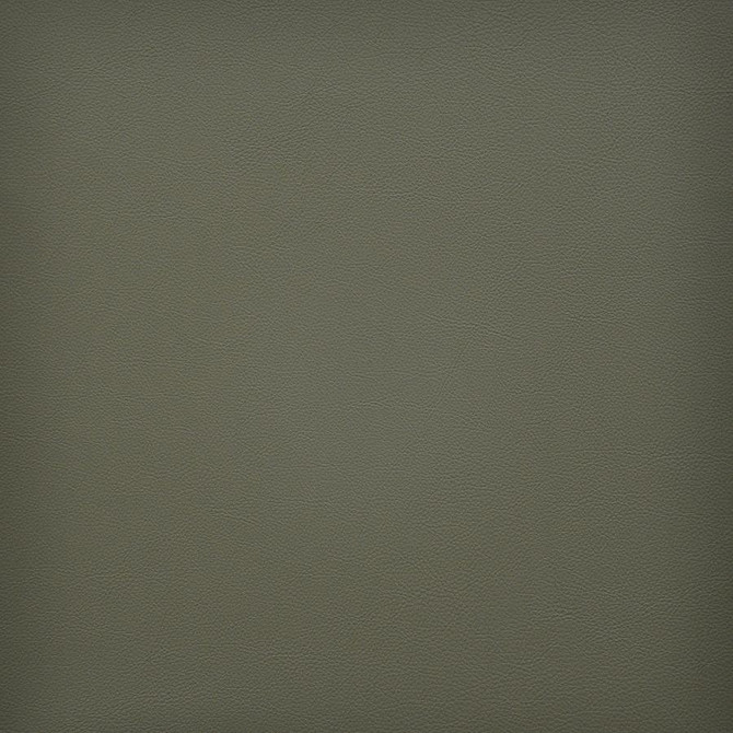 Vesper # 249 Sage by Maxwell Designer Fabric Easy Rider Vi 100% PVC TAIWAN 54" - Swanky Fabrics -