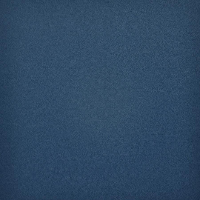 Vesper # 276 Galleon by Maxwell Designer Fabric Easy Rider Vi 100% PVC TAIWAN 54" - Swanky Fabrics -