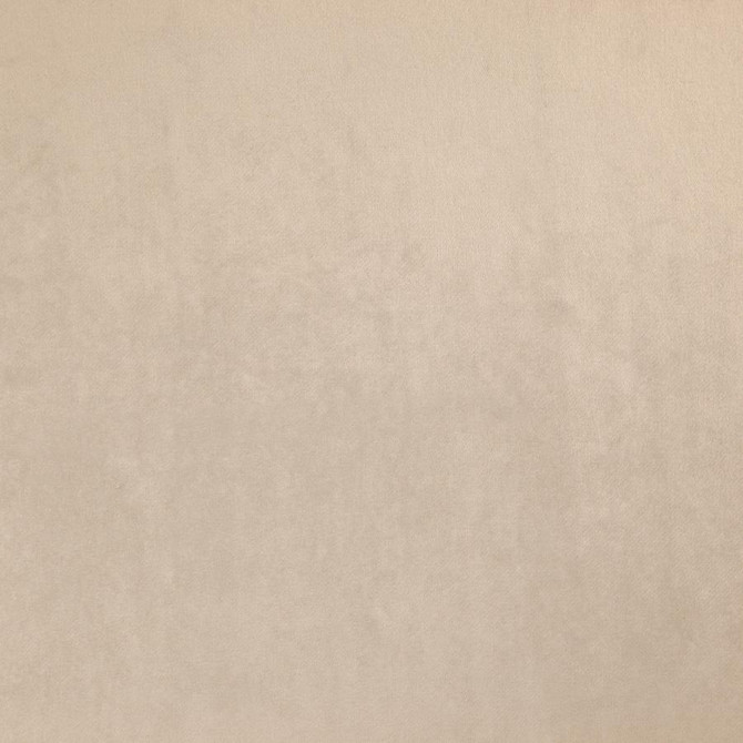 Zurich # 41 Ecru by Maxwell Designer Fabric Glam Velvet 100% POLYESTER INDIA 56.75" - Swanky Fabrics -