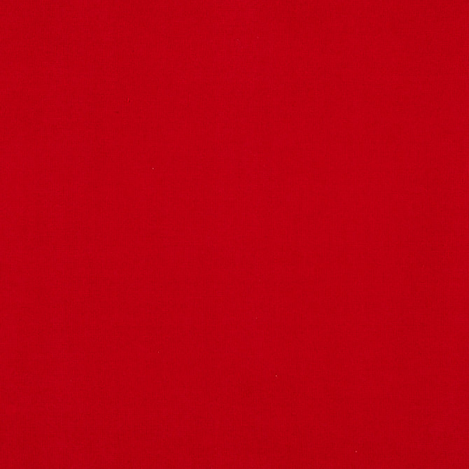 Burlington 45J7031 by JF Crypton Designer Fabric Crypton Binder 100% Polyester China 50000 Horizontal: and Vertical: 54 - Swanky Fabrics -