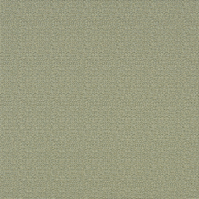Napanee 74J7031 by JF Crypton Designer Fabric Crypton Binder 100% Polyester United States 50000 Horizontal: and Vertical: 54 - Swanky Fabrics -