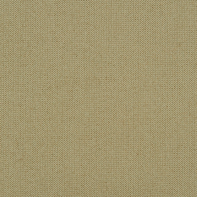 Niagara 74J7031 by JF Crypton Designer Fabric Crypton Binder 100% Polyester China 50000 Horizontal: and Vertical: 54 - Swanky Fabrics -