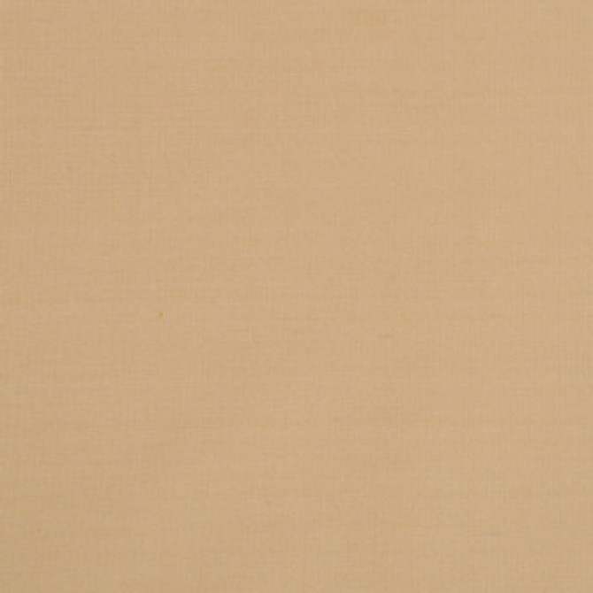 Silk II Ahmadabad by Mitchell Designer Fabric #1704 100% Silk India </p><p>Repeat: Horizontal: 0 and Vertical: 0 54 - Swanky Fabrics -