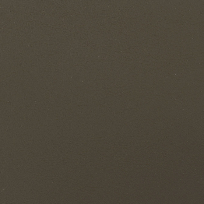 Envision 020 Nutmeg by ABBEYSHEA Designer Fabric 100% Sio Silicone China 225,000 Double Rubs (Wyzenbeek) </p><p>Repeat: Horizontal: and Vertical: 54" (137 cm) - Swanky Fabrics -