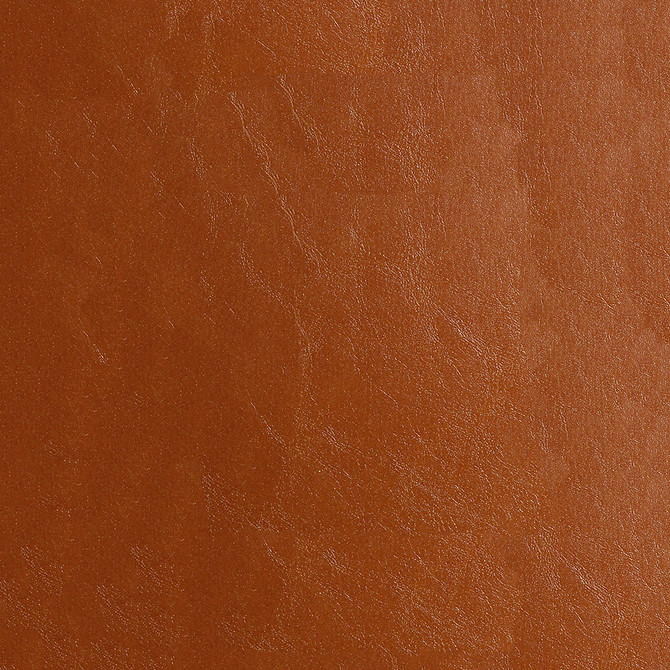 Glaze 013 Sequoia by ABBEYSHEA Designer Fabric N/A 100% Polyvinyl Chloride (PVC) Korea 60,000 Double Rubs </p><p>Repeat: Horizontal: and Vertical: 52" (132 cm) - Swanky Fabrics -