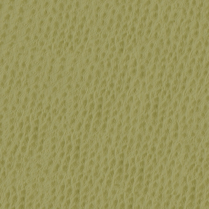 Phoenix 013 Willow by ABBEYSHEA Designer Fabric N/A 100% Polyurethane (PU) China 500,000 Double Rubs </p><p>Repeat: Horizontal: and Vertical: 54" (137 cm) - Swanky Fabrics -