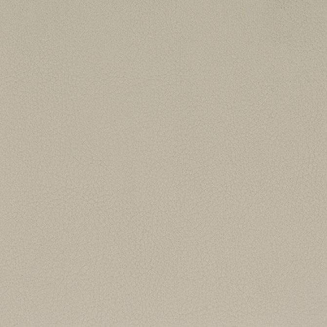 Classic 9 Putty by Stout Fabric Stout Fabric Classic 9 PuttyFabric ALL THINGS VERSATILE KOREA </p><p>Repeat: H: 0.000, V: 0.000 54 in - Fabric Carolina -