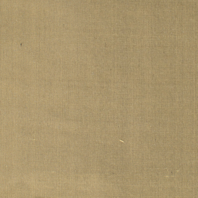 Dupioni 21 Truffle by Stout Fabric Stout Fabric Dupioni 21 TruffleFabric DUPIONI SILK INDIA </p><p>Repeat: H: 0.000, V: 0.000 54 in - Fabric Carolina -