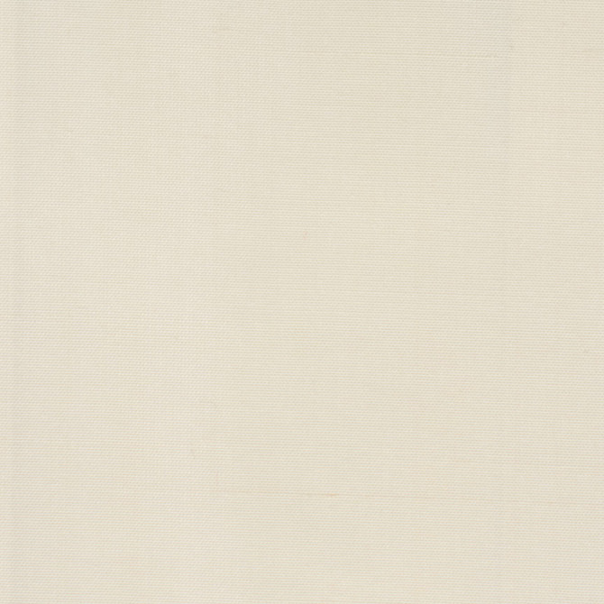 Dupioni 6 Ecru by Stout Designer Fabric DUPIONI SILK 100%SLK INDIA MARTINDALE WEAR TEST (45 000 CIRCULAR RUBS) Horizontal: 0.000 and Vertical: 0.000 54 in - Swanky Fabrics -
