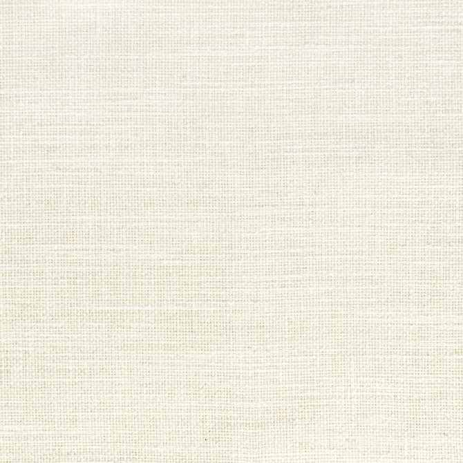 Misty 1 Shell by Stout Fabric Stout Fabric Misty 1 ShellFabric COLOR MY WINDOW PEARL/DRIFTWOOD INDIA </p><p>Repeat: H: 0.000, V: 0.000 54 in - Fabric Carolina -