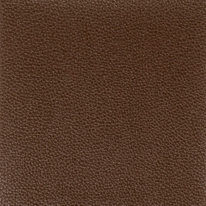 Pitcher 2 Espresso by Stout Designer Fabric LEATHER LOOKS IV 100%POL CHINA PERFORMANCE RATED FABRIC FLAME RETARDANT-U.F.A.C. CLASS 1 FLAME RETARDANT-N.F.P.A. 260A CLASS 1 CATB 117-2013 WYZENBEEK 100 000 DOUBLE RUB WEAR TEST (HEAVY DUTY) Horizontal: 0 and Vertical: 0 54 in - Swanky Fabrics -