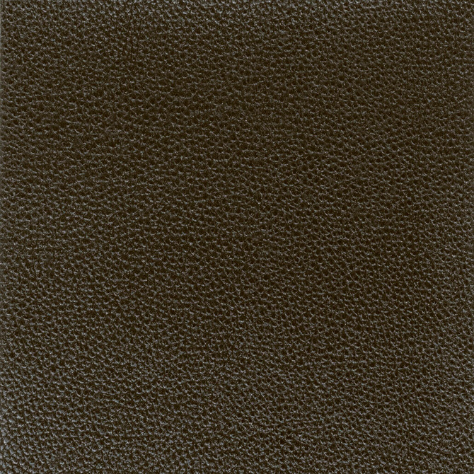 Pitcher 3 Onyx by Stout Designer Fabric LEATHER LOOKS IV 100%POL CHINA PERFORMANCE RATED FABRIC FLAME RETARDANT-U.F.A.C. CLASS 1 FLAME RETARDANT-N.F.P.A. 260A CLASS 1 CATB 117-2013 WYZENBEEK 100 000 DOUBLE RUB WEAR TEST (HEAVY DUTY) Horizontal: 0 and Vertical: 0 54 in - Swanky Fabrics -