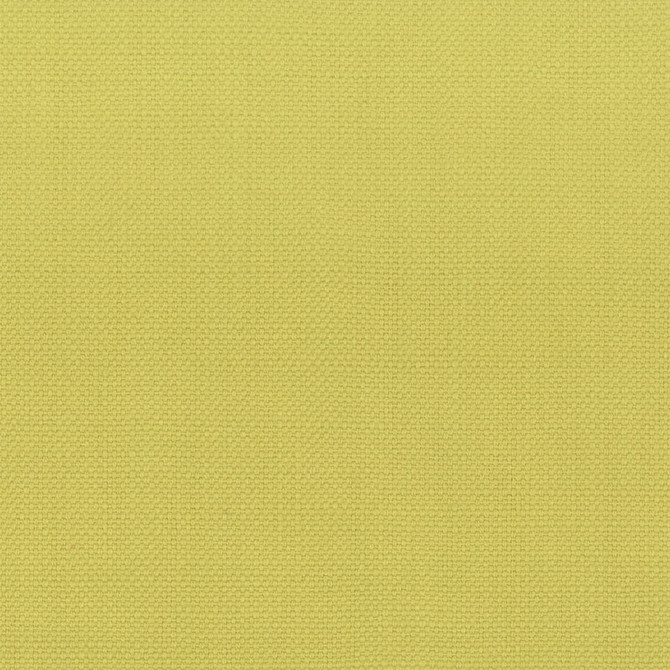 Stanford 10 Citrine by Stout Designer Fabric A LA MODE 100%COT INDIA Horizontal: 0 and Vertical: 0 54 in - Swanky Fabrics -