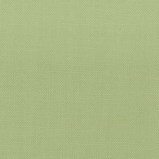 Stanford 22 Pear by Stout Designer Fabric A LA MODE 100%COT INDIA MARTINDALE WEAR TEST (20 000 CIRCULAR RUBS) Horizontal: 0.000 and Vertical: 0.000 54 in - Swanky Fabrics -