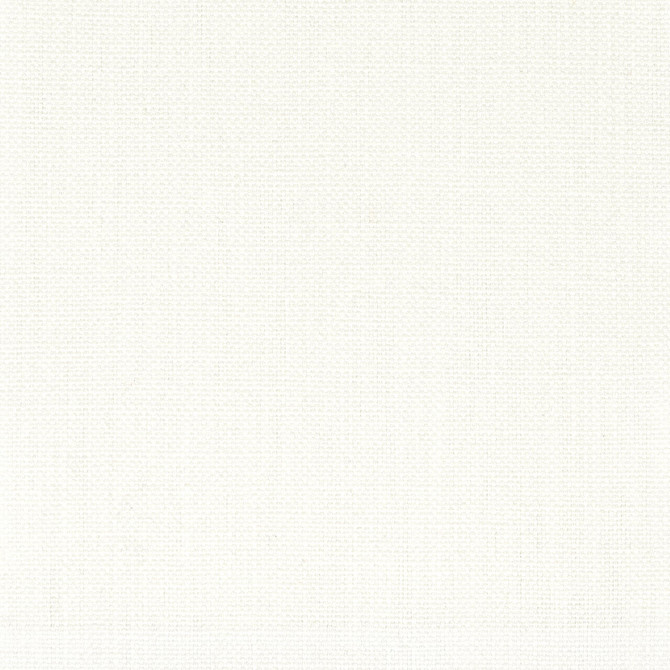 Stanford 50 Bleach by Stout Designer Fabric A LA MODE 100%COT INDIA PERFORMANCE RATED FABRIC WYZENBEEK 70 000 DOUBLE RUB WEAR TEST (HEAVY DUTY) FLAME RETARDANT-U.F.A.C. CLASS 1 CATB 117-2013 LIGHTFASTNESS-AATCC TM 16 (1500 HOURS) Horizontal: 0.000 and Vertical: 0.000 54 in - Swanky Fabrics -