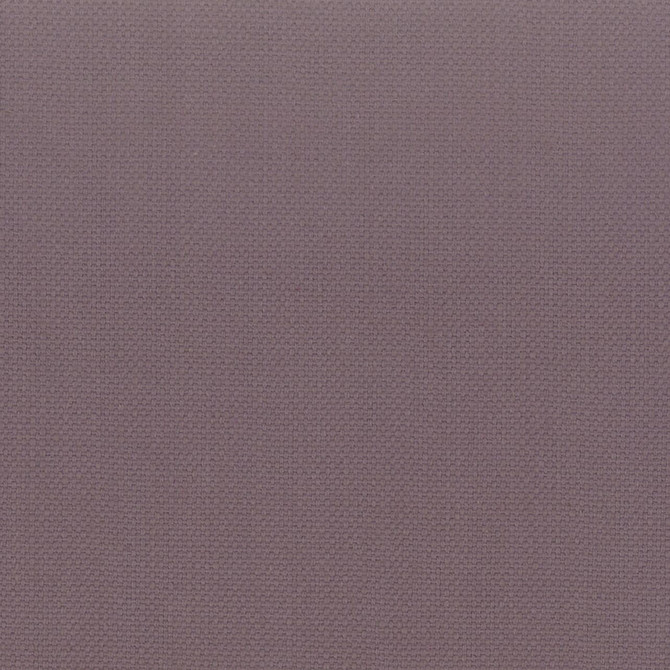 Stanford 51 Foxglove by Stout Designer Fabric A LA MODE 100%COT INDIA Horizontal: 0 and Vertical: 0 54 in - Swanky Fabrics -