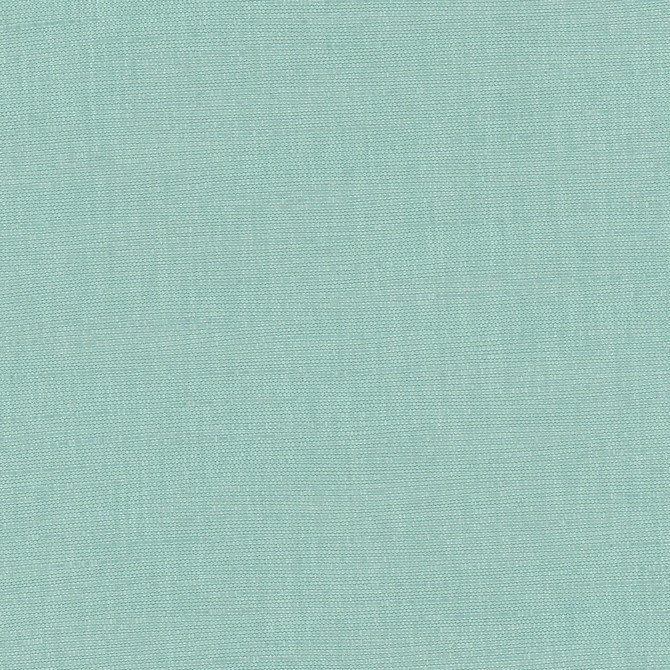 Athlete Spa by Carole Designer Fabric Celadon 60% Cotton, 40% Polyester India Passes 50,000 Double Rubs Wyzenbeek Horizontal: 0 and Vertical: 0 55 - Swanky Fabrics -