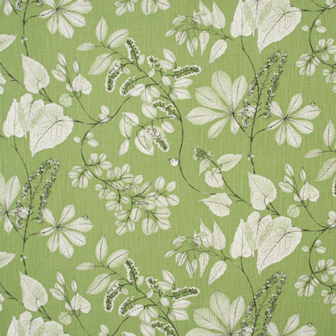 Belong Together Grass by Carole Designer Fabric Lemongrass 100% Cotton-SSR Printed & Finished in USA Passes 15,000 Double Rubs Wyzenbeek Horizontal: 27" D and Vertical: 27" V 54" - Swanky Fabrics -