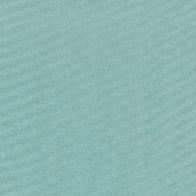 Comfort Azure by Carole Designer Fabric Daydreaming 100% Cotton India Passes 21,000 Double Rubs Wyzenbeek Horizontal: 0 and Vertical: 0 54 - Swanky Fabrics -