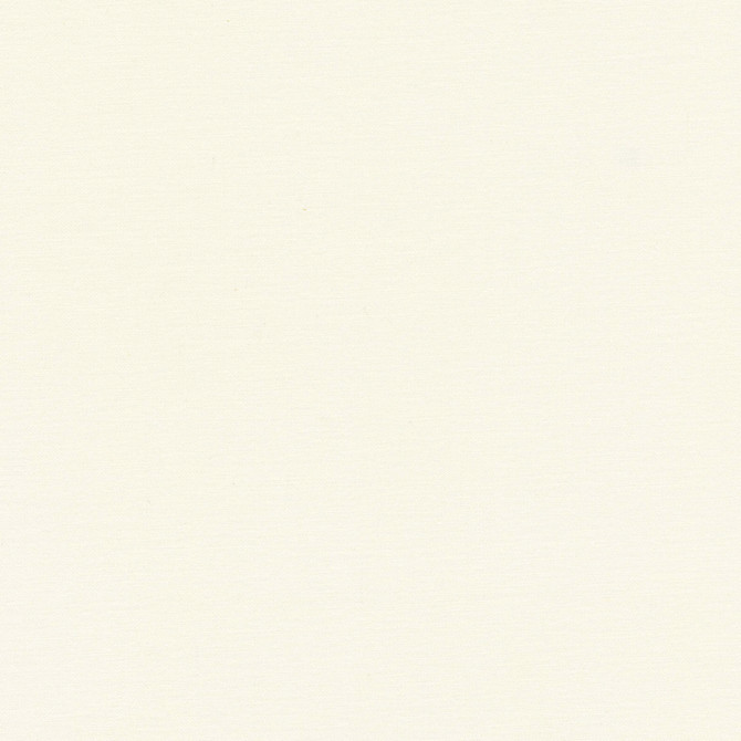 Comfort Chamois by Carole Designer Fabric Daydreaming 100% Cotton India Passes 21,000 Double Rubs Wyzenbeek Horizontal: 0 and Vertical: 0 54 - Swanky Fabrics -