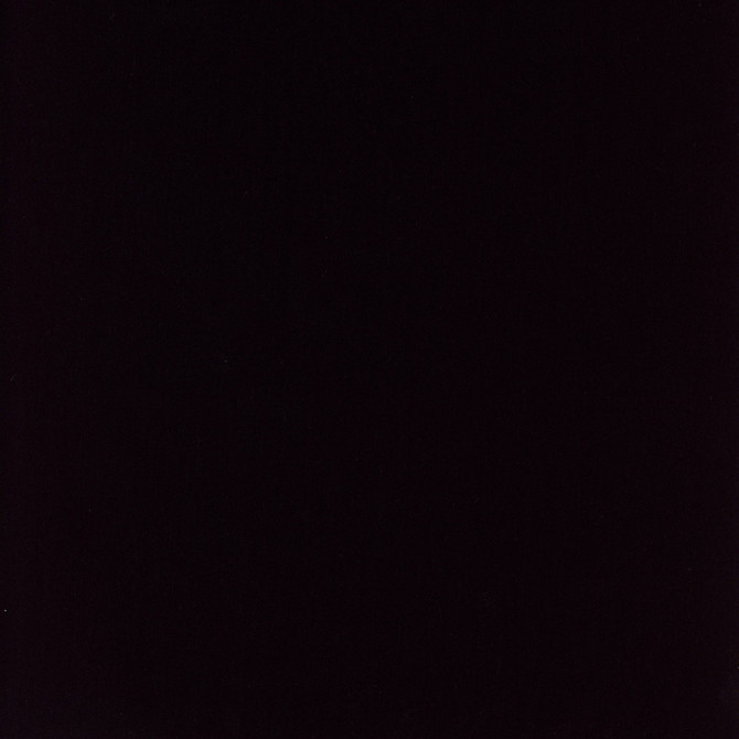 Comfort Coal by Carole Designer Fabric Daydreaming 100% Cotton India Passes 21,000 Double Rubs Wyzenbeek Horizontal: 0 and Vertical: 0 54 - Swanky Fabrics -