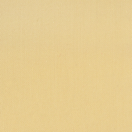 Comfort Dijon by Carole Designer Fabric Daydreaming 100% Cotton India Passes 21,000 Double Rubs Wyzenbeek None 54" - Swanky Fabrics -