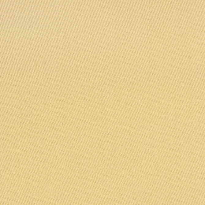 Comfort Dijon by Carole Designer Fabric Daydreaming 100% Cotton India None 54" - Swanky Fabrics -