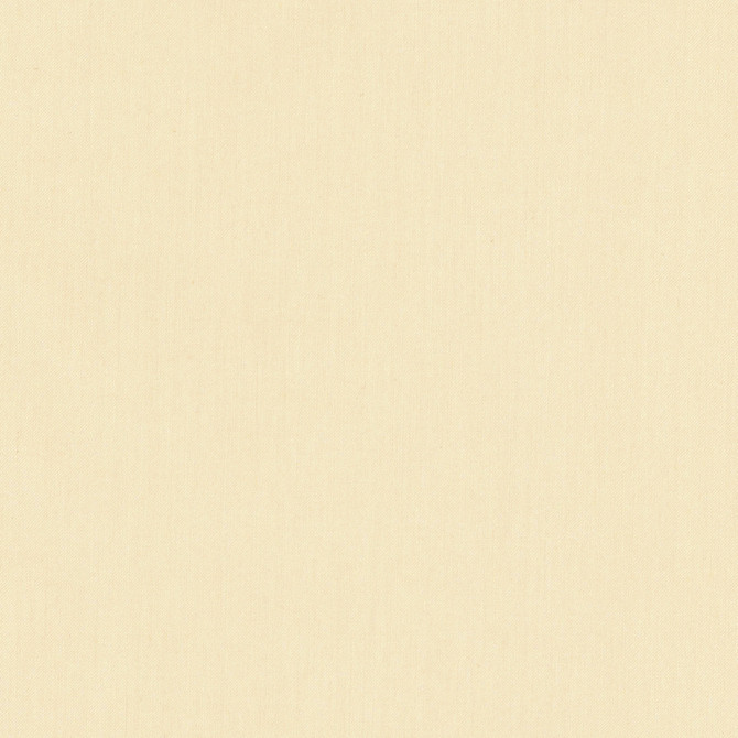 Comfort Ecru by Carole Designer Fabric Daydreaming 100% Cotton India Passes 21,000 Double Rubs Wyzenbeek Horizontal: 0 and Vertical: 0 54 - Swanky Fabrics -