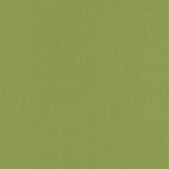 Comfort Grass by Carole Designer Fabric Daydreaming 100% Cotton India Passes 21,000 Double Rubs Wyzenbeek None 54" - Swanky Fabrics -