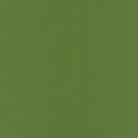 Comfort Kelly by Carole Designer Fabric Daydreaming 100% Cotton India Passes 21,000 Double Rubs Wyzenbeek Horizontal: None and Vertical: None 54" - Swanky Fabrics -