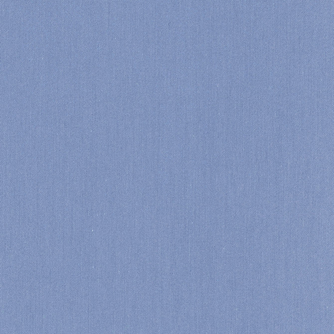 Comfort Royal by Carole Designer Fabric Daydreaming 100% Cotton India Passes 21,000 Double Rubs Wyzenbeek Horizontal: 0 and Vertical: 0 54 - Swanky Fabrics -