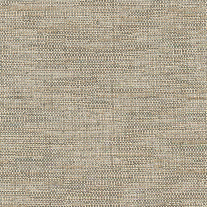 Cliff Top Bronze by Carole Designer Fabric Excursion 66% Polyester, 34% Cotton India None 56" - Swanky Fabrics -