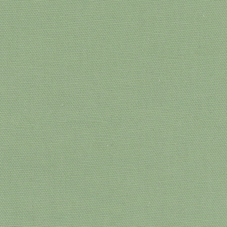 Daydreamer Seafoam by Carole Designer Fabric Daydreaming 100% Cotton- Soil Release USA None 54" - Swanky Fabrics -