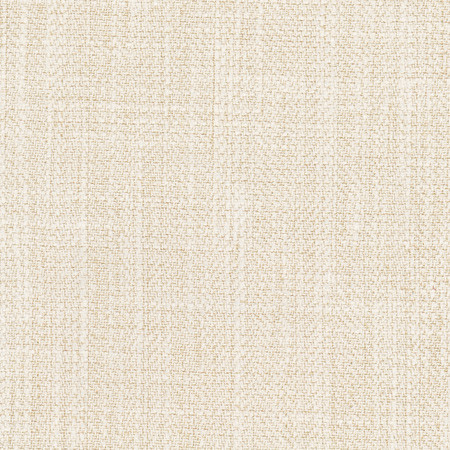 Fall Point Linen by Carole Designer Fabric On POint 43% Polyester, 19% Linen, 19% Cotton, 19% Rayon INDIA 100,000 Wyzenbeek Double Rubs Horizontal: None and Vertical: None 54" - Swanky Fabrics -