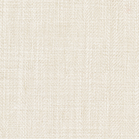 Fall Point Sand Dollar by Carole Designer Fabric On POint 43% Polyester, 19% Linen, 19% Cotton, 19% Rayon INDIA 100,000 Wyzenbeek Double Rubs </p><p>Repeat: None 54" - Swanky Fabrics -