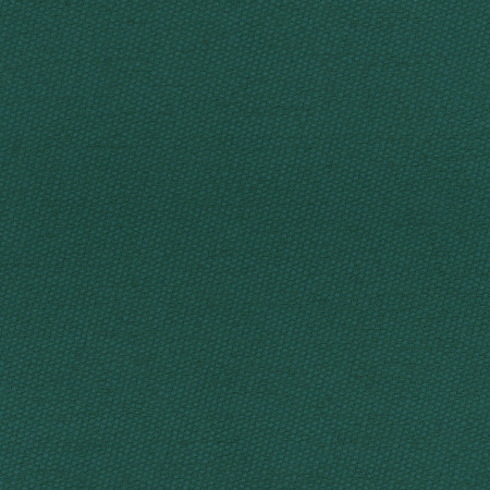 Fact Finder Pine by Carole Designer Fabric Celadon 100% Polyester Turkey Passes 40,000 Double Rubs Wyzenbeek None 59" - Swanky Fabrics -