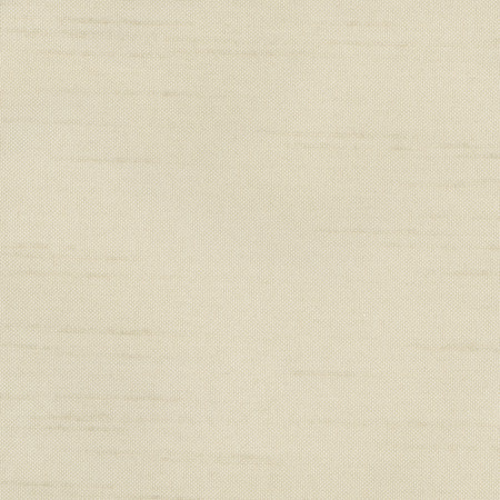 Fleeting Oyster by Carole Designer Fabric Royale 100% Polyester India Passes 50,000 Double Rubs Wyzenbeek Horizontal: None and Vertical: None 54" - Swanky Fabrics -