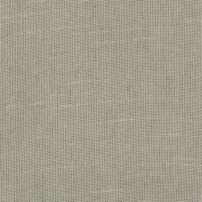 Fleeting Pebble by Carole Designer Fabric Royale 100% Polyester India Passes 50,000 Double Rubs Wyzenbeek Horizontal: 0 and Vertical: 0 54 - Swanky Fabrics -