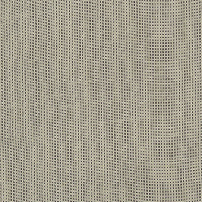 Fleeting Pebble by Carole Designer Fabric Royale 100% Polyester India Passes 50,000 Double Rubs Wyzenbeek Horizontal: None and Vertical: None 54" - Swanky Fabrics -