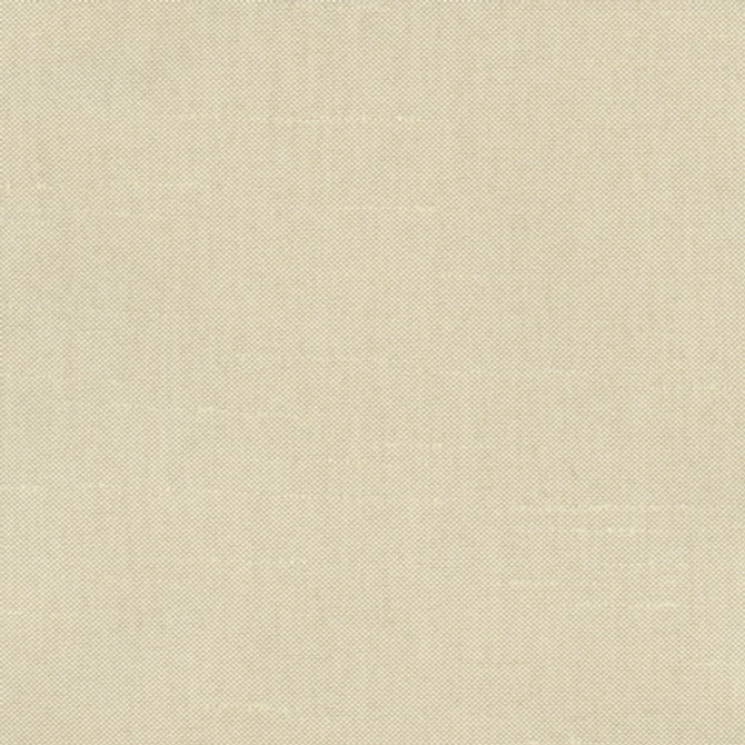 Fleeting Plantain by Carole Designer Fabric Royale 100% Polyester India Passes 50,000 Double Rubs Wyzenbeek </p><p>Repeat: None 54" - Swanky Fabrics -