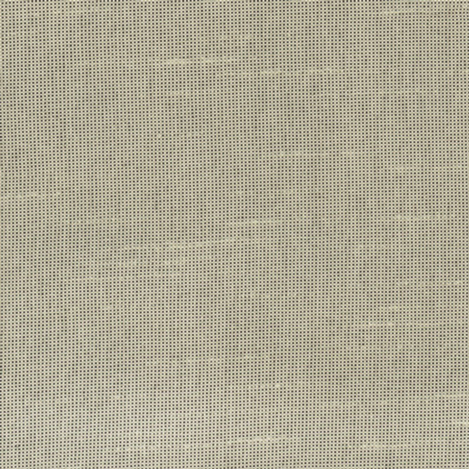 Fleeting Sand by Carole Designer Fabric Royale 100% Polyester India Passes 50,000 Double Rubs Wyzenbeek None 54" - Swanky Fabrics -