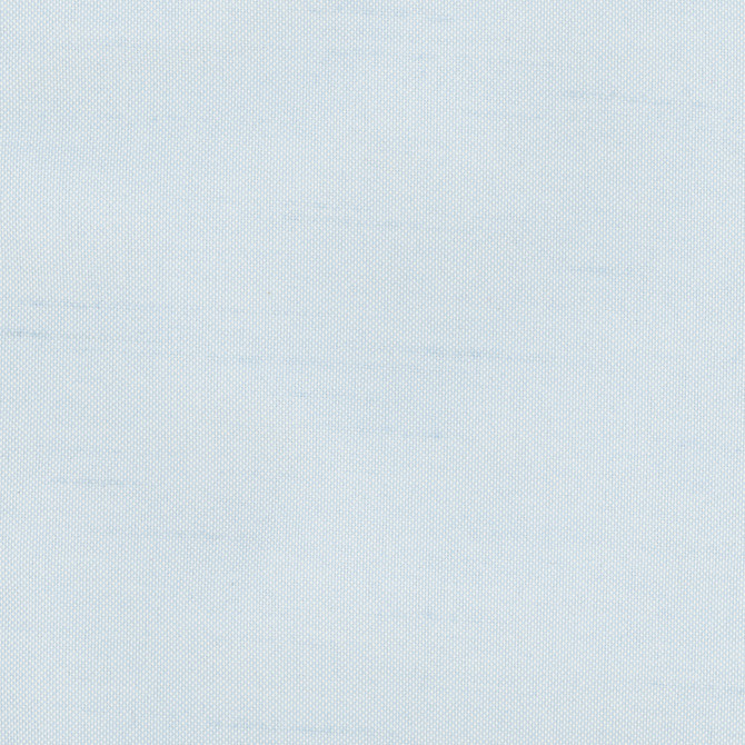 Fleeting Sky by Carole Designer Fabric Royale 100% Polyester India Passes 50,000 Double Rubs Wyzenbeek Horizontal: 0 and Vertical: 0 54 - Swanky Fabrics -