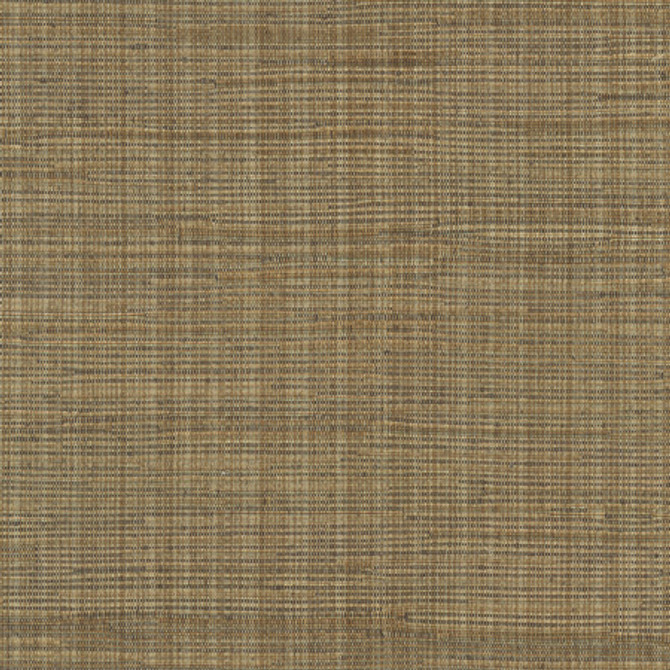 High Dive Mocha by Carole Designer Fabric Excursion 52% Polyester, 48% Cotton India 25,000 Wyzenbeek Double Rubs None 54" - Swanky Fabrics -