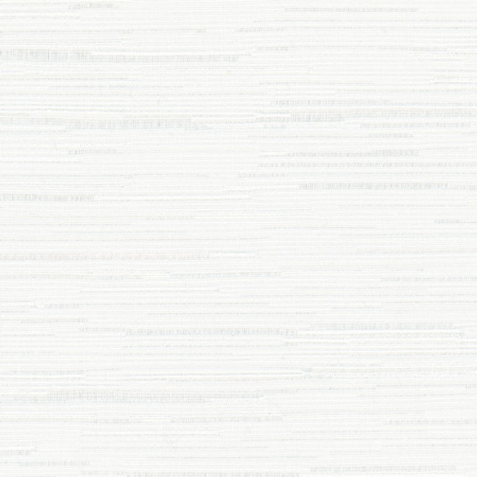 High Dive Frost by Carole Designer Fabric Excursion 52% Polyester, 48% Cotton India 25,000 Wyzenbeek Double Rubs None 54" - Swanky Fabrics -