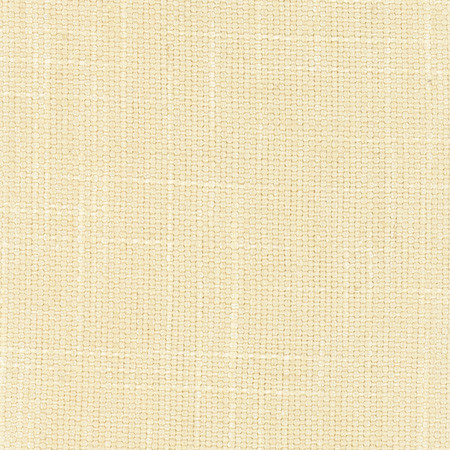 Autumn Breeze Butter by Carole Designer Fabric On POint 36% Polyester, 26% Cotton, 22% Viscose, 16% Linen CHINA 30,000 Wyzenbeek Double Rubs Horizontal: None and Vertical: None 56" - Swanky Fabrics -